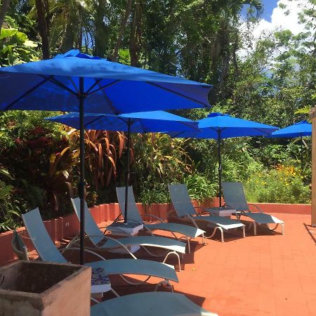 El Pequeno Hotel Canovanas エクステリア 写真