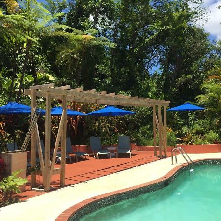 El Pequeno Hotel Canovanas エクステリア 写真