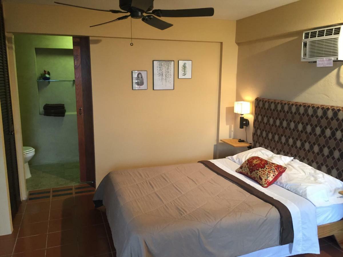 El Pequeno Hotel Canovanas エクステリア 写真