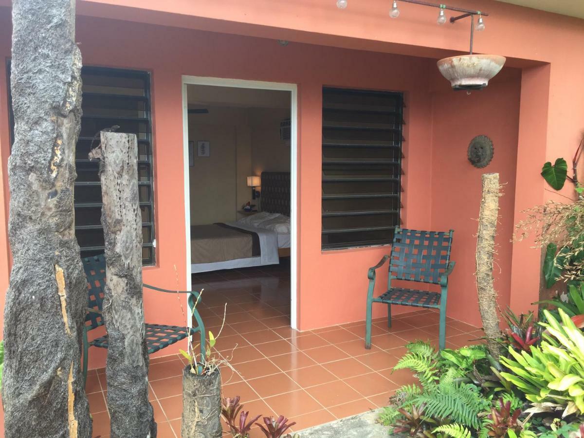El Pequeno Hotel Canovanas エクステリア 写真