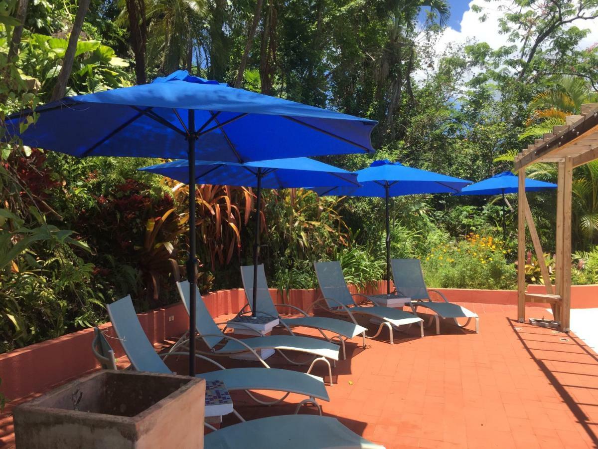 El Pequeno Hotel Canovanas エクステリア 写真