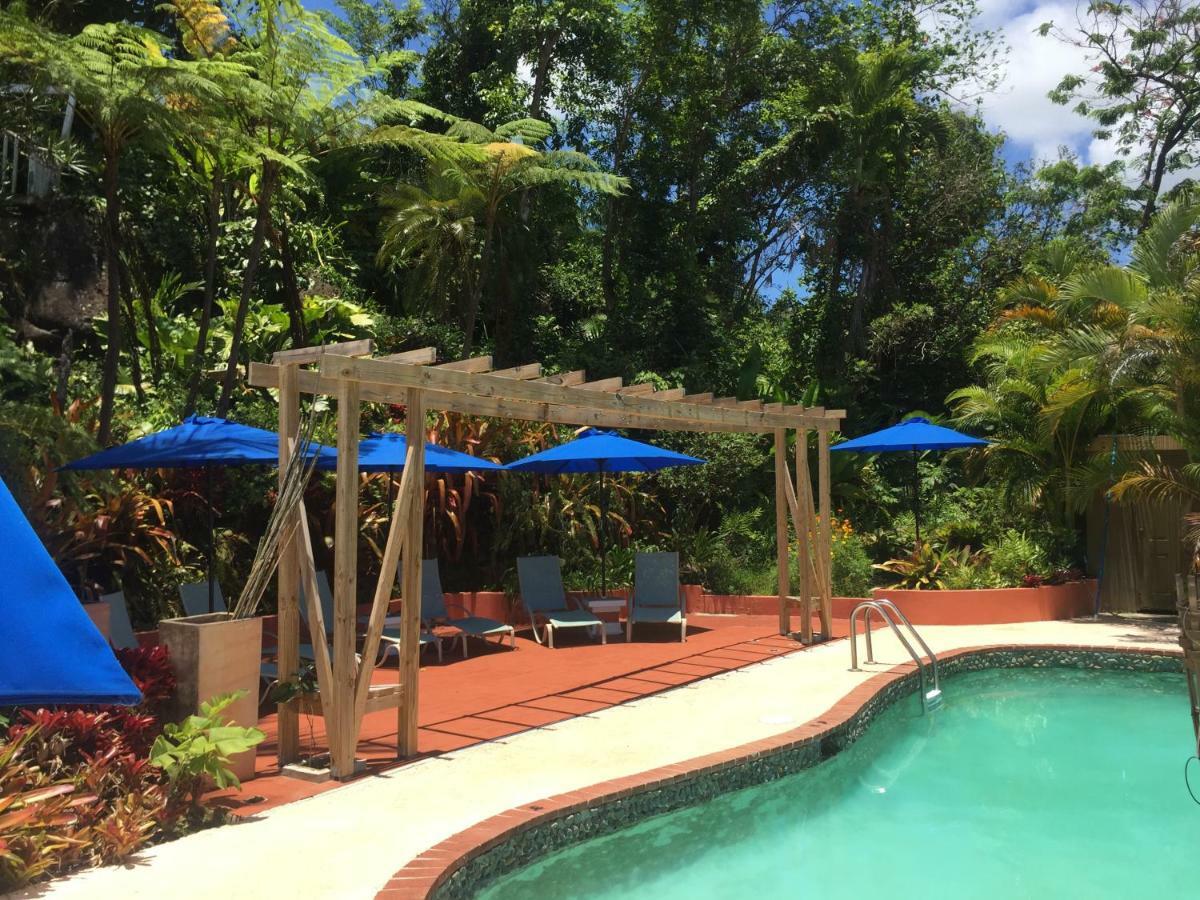 El Pequeno Hotel Canovanas エクステリア 写真
